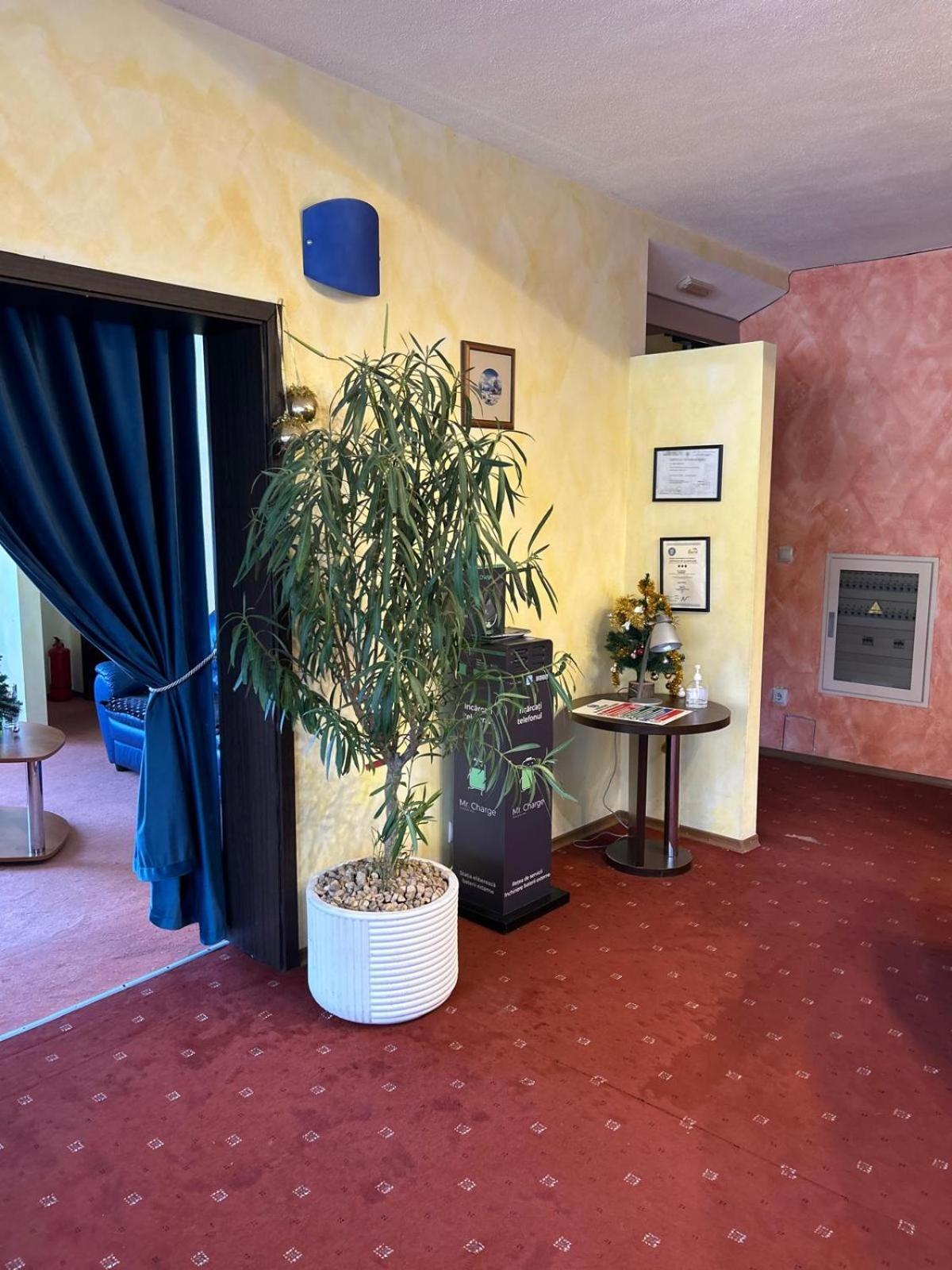 Vila Condor Poiana Brasov Exterior foto